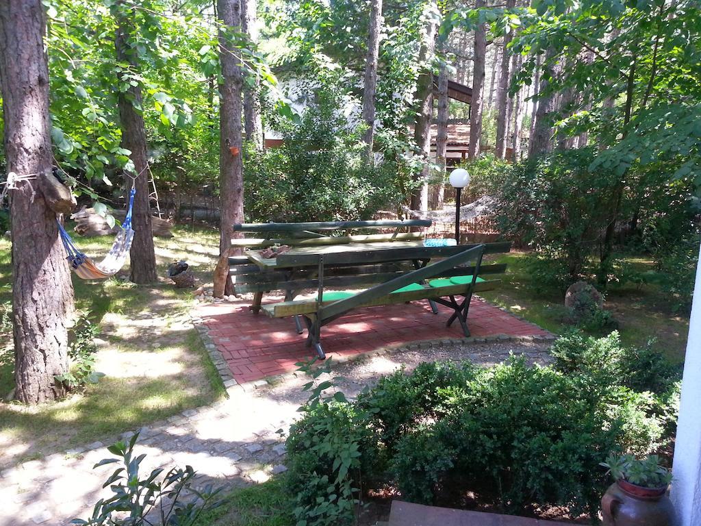 Guesthouse Bajka Vinci Exterior photo