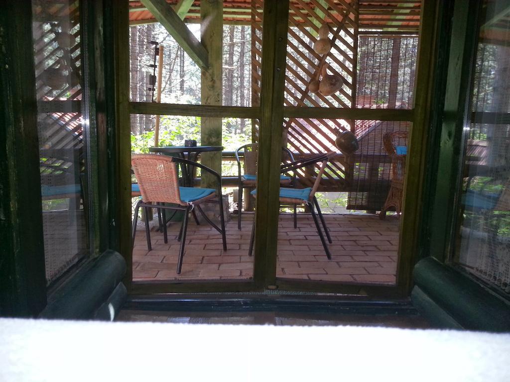 Guesthouse Bajka Vinci Room photo