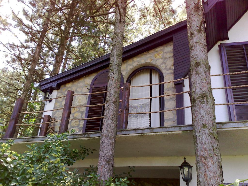 Guesthouse Bajka Vinci Exterior photo