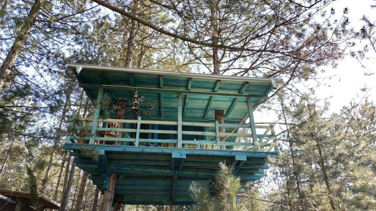 Guesthouse Bajka Vinci Exterior photo